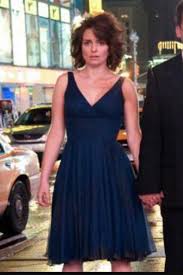 Tina fey has only recently splurged on herself with all that money she's been making. Shop Casual Tinafey Dress On Seenit 17015