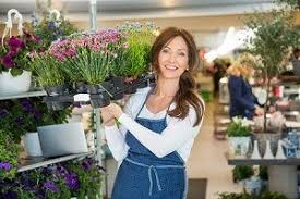 Avas flowers offers same day flower delivery to all of morristown and anywhere else in morris county, new jersey. Best Flower Shops Morristown Nj Jaguar Morris County