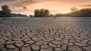 World experts warn of serious health impacts from climate change for  pregnant women, children, elderly
