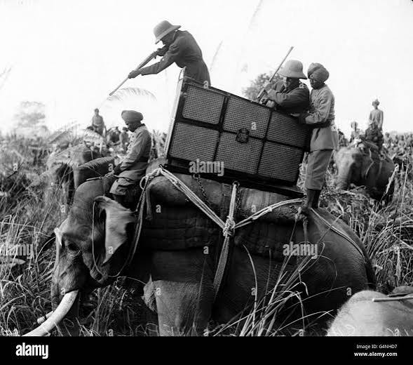 King george v tiger shooting in nepal. hi-res stock photography and images - Alamy