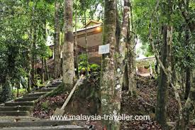 Check spelling or type a new query. Tree Top Walk Sungai Sedim Kulim Kedah