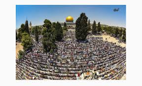 اقتحم 228 مستوطنا، اليوم الثلاثاء، المسجد الأقصى المبارك بحماية قوات الاحتلال الإسرائيلى وتجولوا بشكل استفزازى فى باحاته. 200 Ø§Ù„Ù ÙÙ„Ø³Ø·ÙŠÙ†ÙŠ Ø§Ø¯ÙˆØ§ ØµÙ„Ø§Ø© Ø§Ù„Ø¬Ù…Ø¹Ø© ÙÙŠ Ø§Ù„Ø§Ù‚ØµÙ‰ Ø§Ù„ÙŠÙˆÙ… Ø§Ù„Ù…Ø¯ÙŠÙ†Ø© Ù†ÙŠÙˆØ²