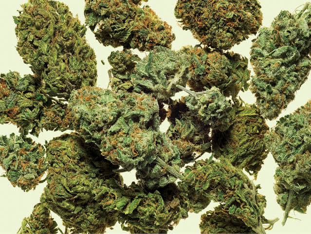 With its patchwork of half-baked, absurd laws, Canada isn't ready for legal  weed - Macleans.ca