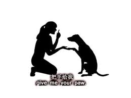 A man who is unpleasant or not to be trusted. How To Say Dog And Train Your Dog In Chinese Lingoclub