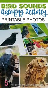 Match The Birds With Their Nests Bird Sounds Listening Activity Bird Unit Study Bird Bird Theme