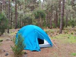 Zonas De Acampada En Tenerife Felicidad Sin Fronteras