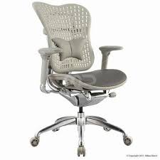 Ergo Body Task Chair Grey Buy Ergonomic Chairs Ergonomic Chair Office Milan Direct Homeoffic Ergonomic Chair Ergonomic Desk Chair Best Ergonomic Chair