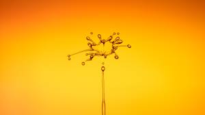Download beautiful, curated free backgrounds on unsplash. 2560x1440 Drop Of Water Drip Splash 5k 1440p Resolution Hd 4k Wallpapers Images Backgrounds Photos And Pictures