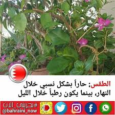 الطقس حارا بشكل نسبي خلال النهار بينما يكون رطبا خلال الليل المنامة في 06 أكتوبر بنا أفادت إدارة الارصاد الجوية بوزارة المواصلات والاتصالات ان الطقس المت