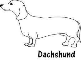 Dachshund birthday card perfect for mum dad or any owner sausage dog wiener. Dog Line Art Dog Line Dachshund