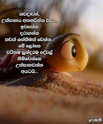 ⚫️ සියට සීයක් රැපට ⚫️ සියට දෙසීයක් ආදරෙයි රටට #adminsquad #hela_rap_wadan hip hop වලට ආදරෙයි නම් follow කරලා සෙට් වෙන්න.citationsonly. Gyattri