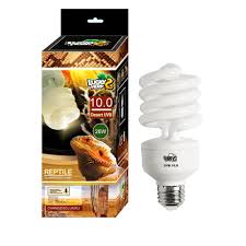 Compact Fluorescent Bulb Light Lamp Uva Uvb 10 26w High D3 Conversion For Reptile Buy Reptile Compact Lamp D3 Uvb Reptile Light Fluorescent Uvb Reptile Bulb Product On Alibaba Com