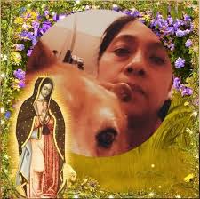 El ingeniero Acacio Castro Serrano egresó de Escuela superior de  Agricultura de la UAGro ubicada en Iguala Guerrero. Nació el 9 de abril de  1963, en Santo Domingo, municipio de Atoyac de