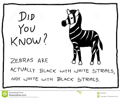 We've got 11 questions—how many will you get right? Animal Trivia Questions Quiz For Knowledge Trivia Qq