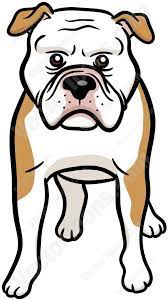 American pit bull terrier bulldog tattoo drawing, pitbull, angle, white png. Brown And White American Bulldog Bulldog Cartoon White American Bulldogs American Bulldog