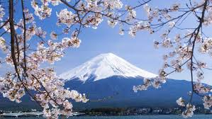 10 Best Day Trips From Mount Fuji 2021 Info Tickets Getyourguide