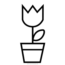 Tulpe Ausmalbilder Ultra Coloring Pages