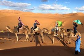 For more information on where to obtain a test overseas, travelers should review the relevant u.s. What No One Told Me About Riding A Camel In The Sahara Desert Oyster Com