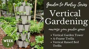 When you grow a garden in a raised garden bed, the purpose of the bed is to condense your growing area to a point that you can reach all plants, without having to step into the growing area. Vertical Gardening Maximize The Garden Space Youtube
