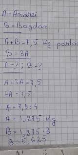 Cate mere are ana, stiind ca toti trei au impreuna 12 mere?. Andrei Si Bogdan Au Impreuna 7 5 Kg De Portocale Calculati Cate Kg De Portocale Are Fiecare Stiind Brainly Ro