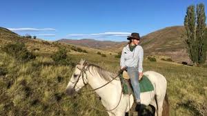 This created tremendous crises in families all over new york and proved that tv plays a much greater role in people's lives than anyone can imagine. By Bike Boat And Horseback Epic Coronavirus Journeys Home Bbc News