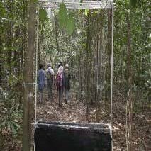 But if your pest control has gotten out of control, we have tons of great advice for some simple ways to get rid of the four major household pests: Set Up Of A Harp Trap On One Of The Trails In Gunung Stong Download Scientific Diagram