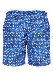 Swim Shorts Men S Swim Trunks Swimwear Peacocks