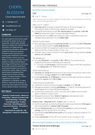 • begin with your current or most recent job and move back chronologically. Sales Resume Examples Resume Samples 2020