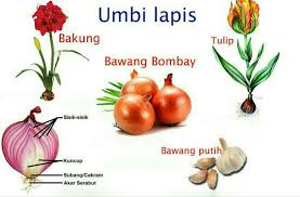 Bentuk tumpukan bunga dengan pot tanah untuk drainase air yang optimal. Qwxklzy U9 Hom