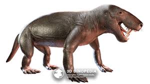 Image result for Nesogordonia