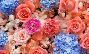 Johns lombard little chapel of the chimes, serving the portland, oregon, hollywood district since 1942, provides funeral and cremation services. Hollywood Fl Same Day Flower Delivery Al S Florist Hollywood