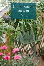 Der Selbstversorger Balkon Im Juli Garten Fraulein Der Garten Blog Der Selbstversorger Gemuse Anpflanzen Terrasse Bepflanzen