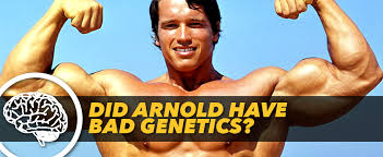 Your clients want to know more about them, if they are worth the cost, and if they can help them get fitter or meet their weight goals. Did Arnold Have Bad Genetics Generation Iron