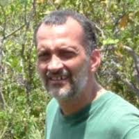 Kathy Traylor-Holzer