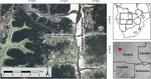 Image result for Cryptosepalum exfoliatum