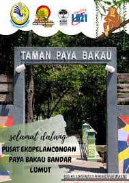 Letaknya di teluk youtefa, jayapura, papua. Hutan Bakau Kedua Terbesar