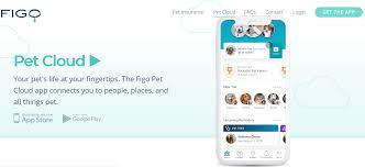Maybe you would like to learn more about one of these? Figo Pet Insurance Reviews By Experts Customers 2021 Best Reviews