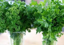 Provided to esvid by musicyes uk ltd daun daun kering · maya rumantir the best of maya rumantir ℗ 2017 purnama. Parsley Atau Peterseli Dan Manfaatnya Bibitbunga Com