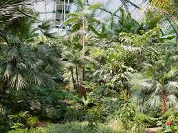 See all things to do. Palmengarten Frankfurt Eintritt Parken Veranstaltungen Im Botanischen Garten Extratipp