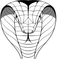 Cobra and pit viper with background. King Cobra Free Vector Download 425 Free Vector For Commercial Use Format Ai Eps Cdr Svg Vector Illustration Graphic Art Design