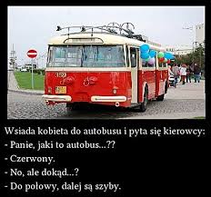 Praca na stanowisku kierowcy autobusu w ramach realizacji publicznego transportu zbiorowego oraz dowozu dzieci do szkół, sprzedaż biletów. Humor Besty Dowcipy Memy Mem Smieszne Zart Xdpedia 268281