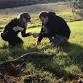 Raglan wild forage fun! event image