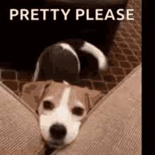 No matter you are blue or angry, check these cute otters loving meme can definitely make your day. Pretty Please Gifs Tenor