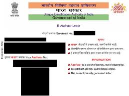 Now enter the details of your selection. How To Download A Copy Of Your Aadhaar Card Ndtv Gadgets 360