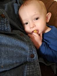 The Young and the Restless Show Discussion