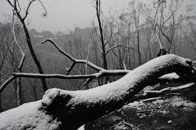 Reservations may be required or recommended. Nsw Rfs On Twitter A Beautiful Image Captured By Nampix At Clarence In The Blue Mountains This Morning As Snow Settles Across The Gospers Fireground It S Going To Be A Cold And