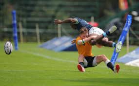 Nellies' fightback secures a sweet victory