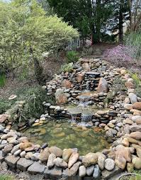 Image result for garden pond ideas