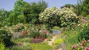 Garten pur receives around 9798 nine thousand seven hundred and ninety eight daily pageviews. Natur Im Garten Vom Bahndamm Zum Traumgarten Tv Orf At