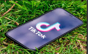 It is also popular among close friends, partners, and loved ones. Matching Bios For Couples Trending On Tiktok Brunchvirals
